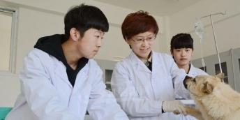 喜報！建平縣職教中心多門課程獲評省級精品在線...